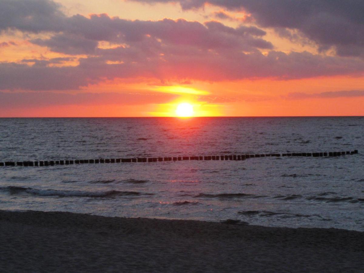 Residenz Am Strand Wohnung 1-17 Zingst Dış mekan fotoğraf